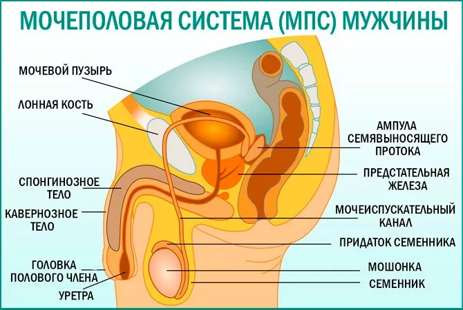 МПС